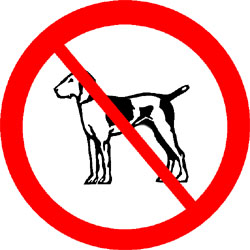 кучегон ултразвуков